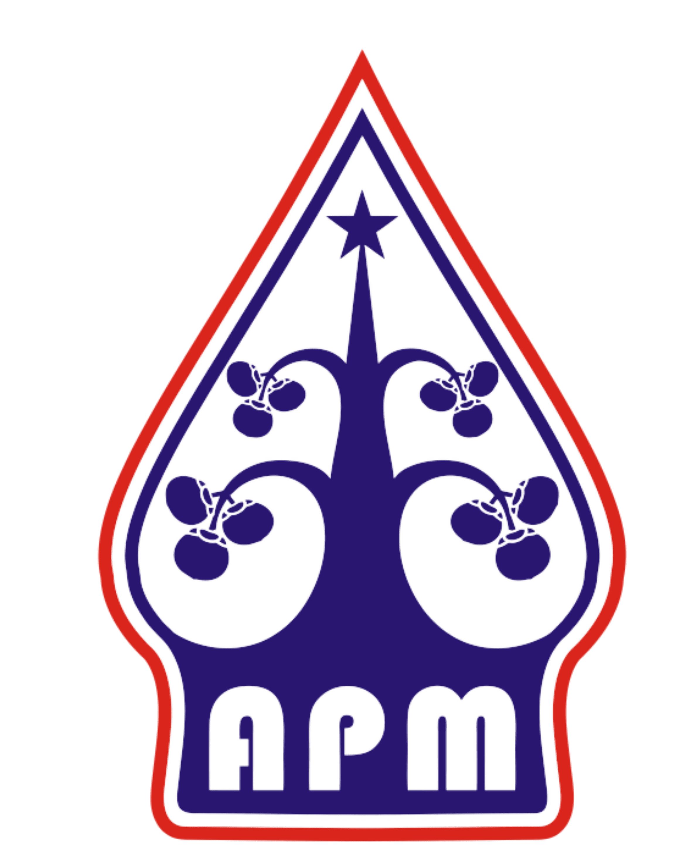 APM