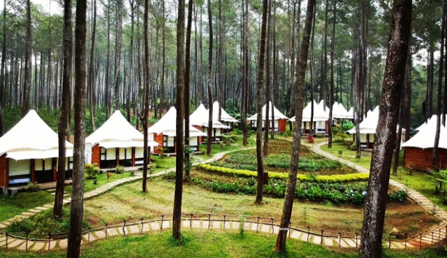 Paket Outbound